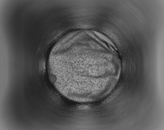 X0000092300358200710121451