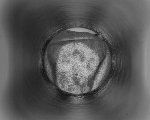 X0000092300359200710121451