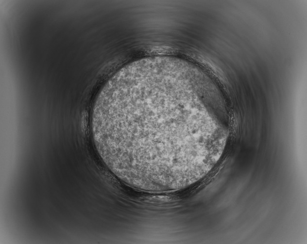 X0000092300361200710121451