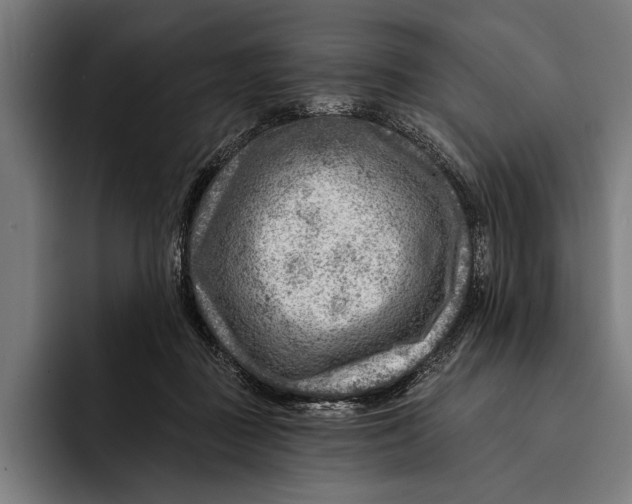 X0000092300363200710121451