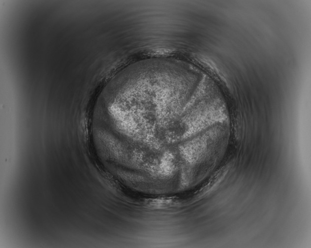 X0000092300366200710121451