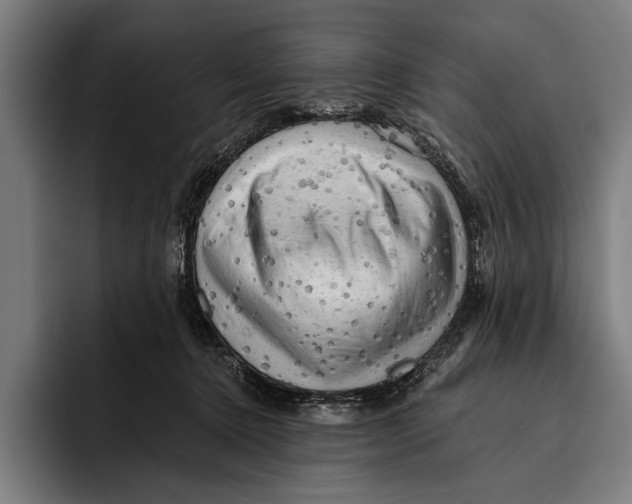 X0000092300368200710121451