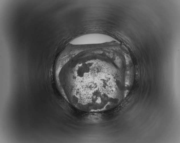 X0000092300369200710121451