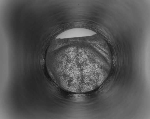 X0000092300371200710121451