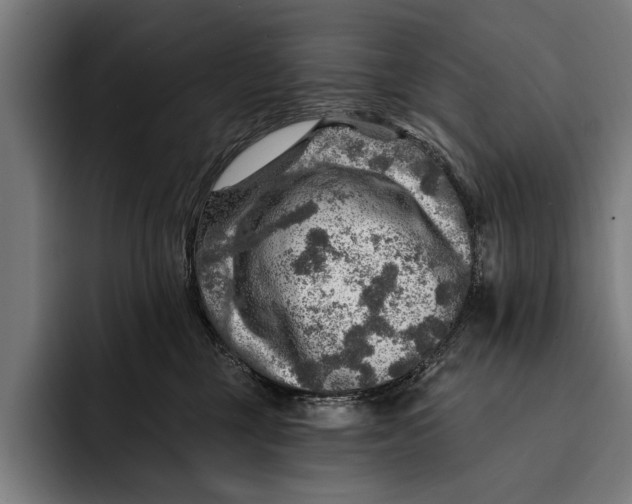 X0000092300377200710121451