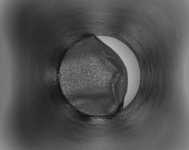 X0000092300380200710121451