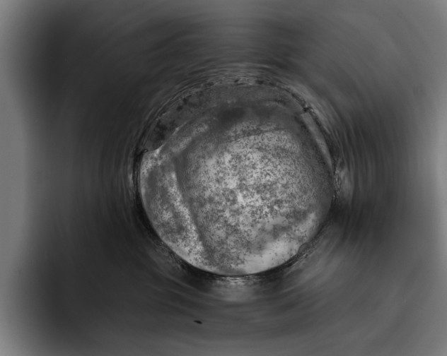 X0000092300381200710121451