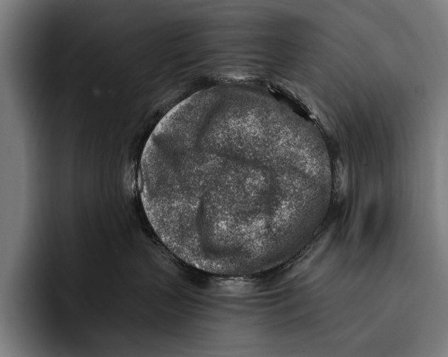 X0000092300383200710121451