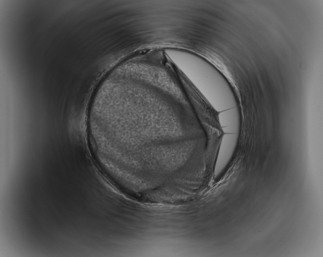 X0000092300389200710121451