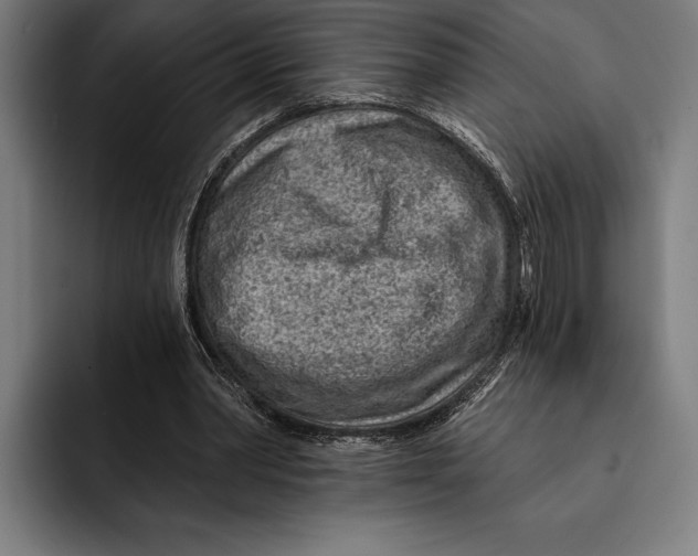 X0000092300390200710121451