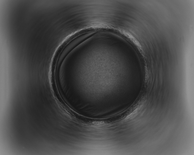 X0000092300391200710121451