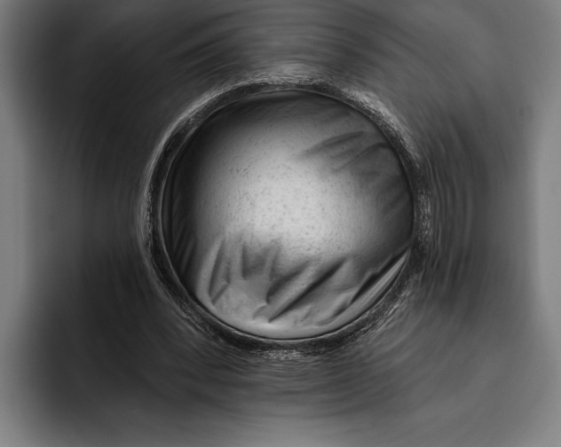 X0000092300392200710121451