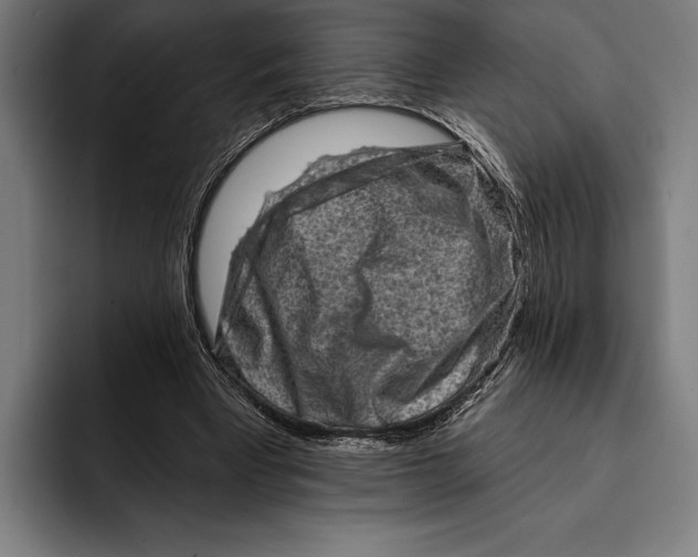 X0000092300393200710121451