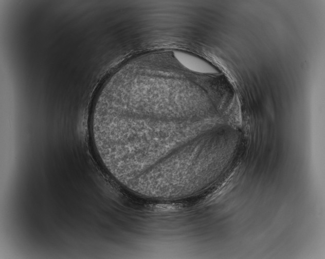 X0000092300394200710121451