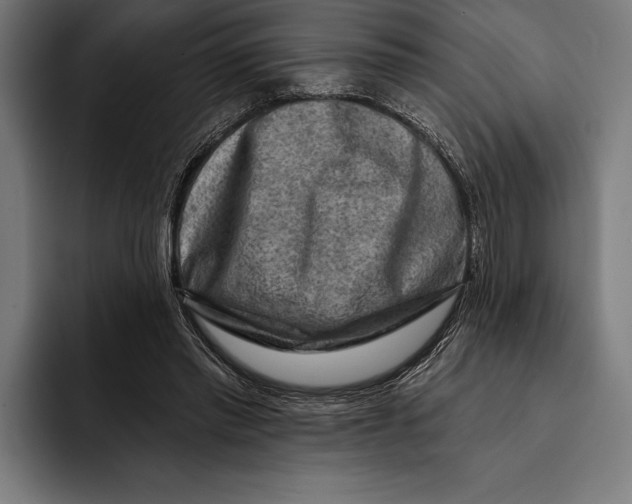 X0000092300397200710121451