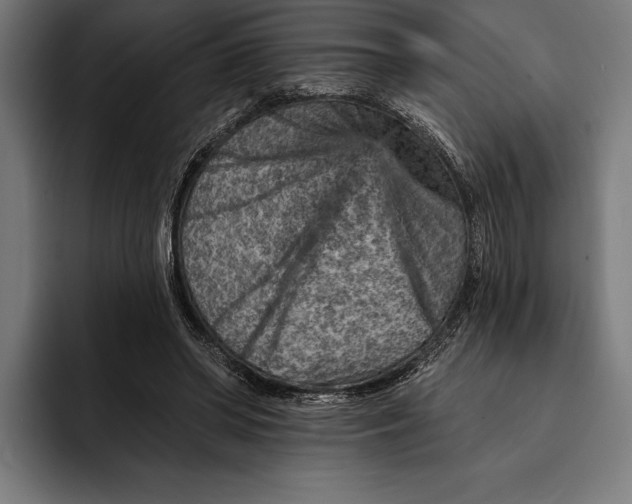 X0000092300398200710121451