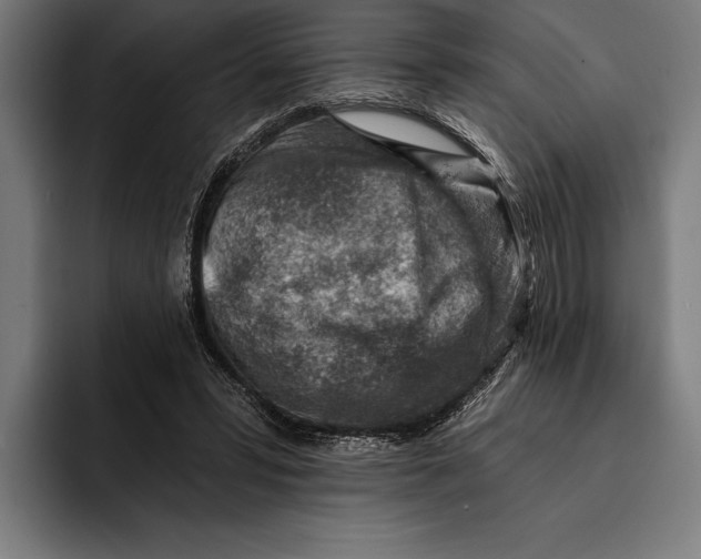 X0000092300399200710121451