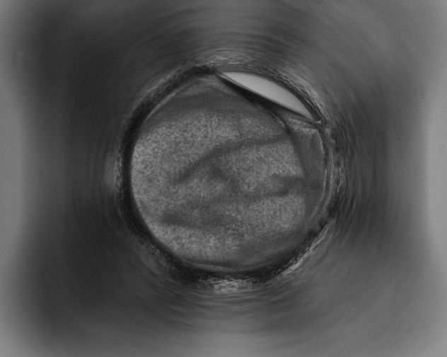 X0000092300400200710121451