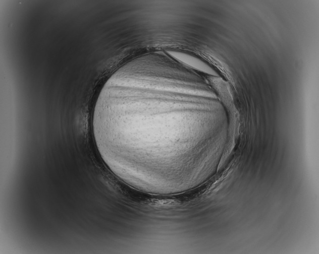 X0000092300401200710121451