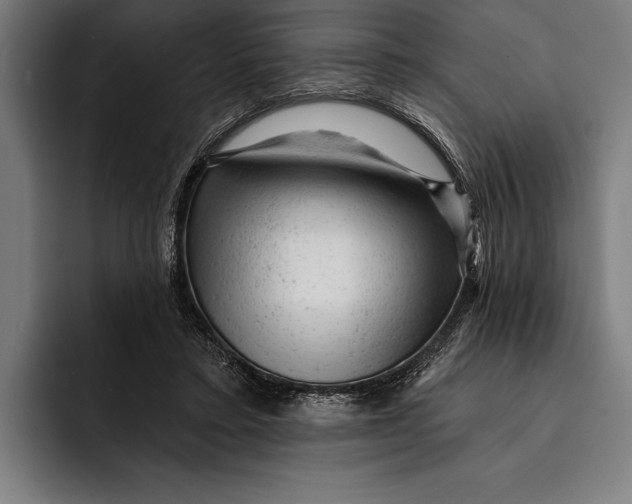 X0000092300403200710121451