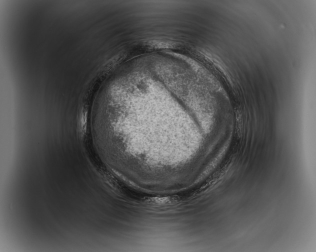 X0000092300406200710121451