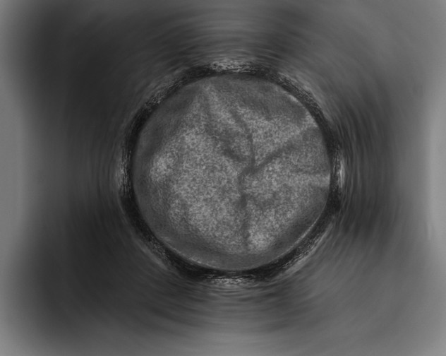 X0000092300408200710121451