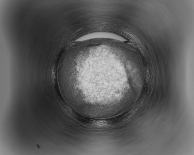 X0000092300409200710121451