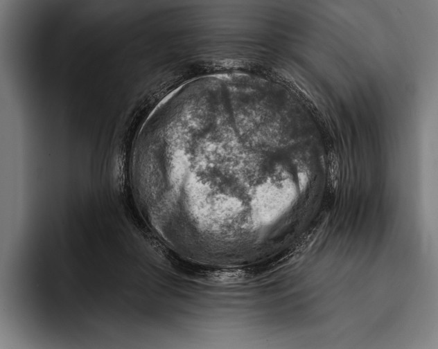 X0000092300410200710121451