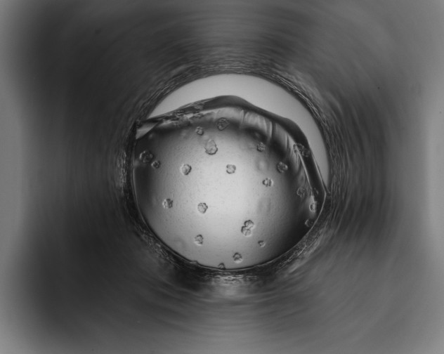 X0000092300413200710121451
