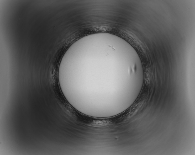 X0000092300414200710121451