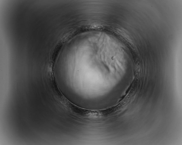 X0000092300415200710121451