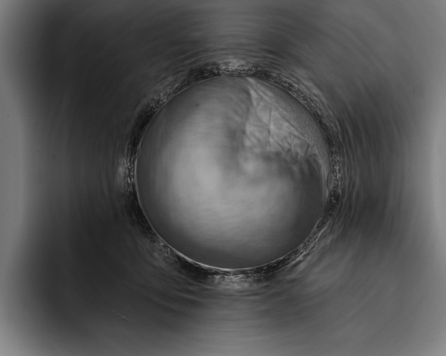 X0000092300419200710121451