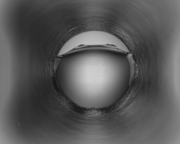 X0000092300421200710121450