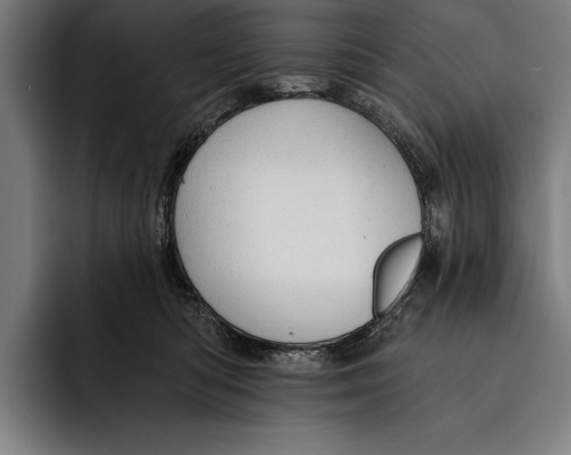 X0000092300422200710121450