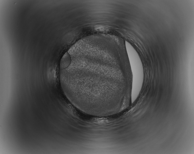 X0000092300424200710121450