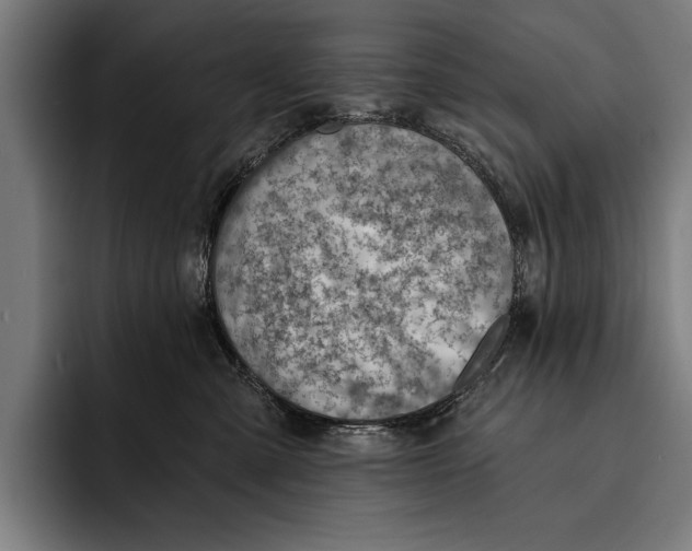 X0000092300427200710121450