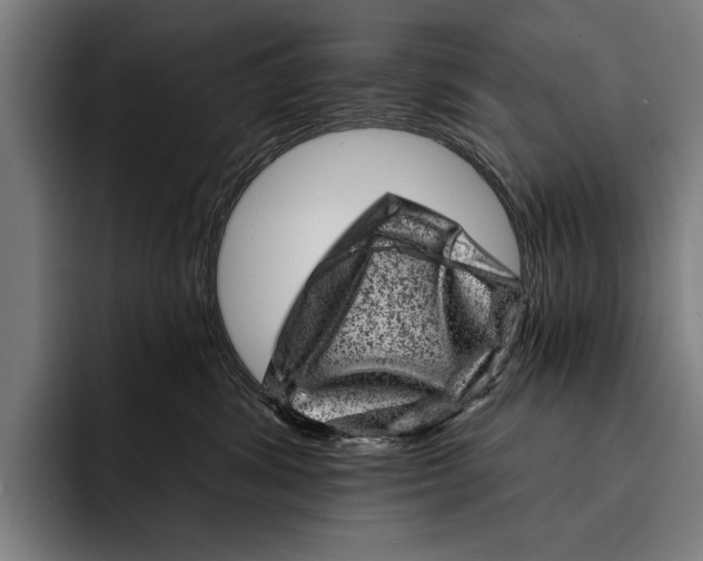 X0000092300428200710121450