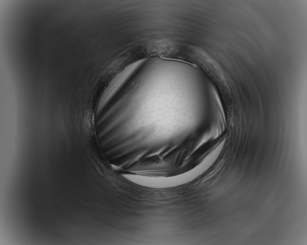 X0000092300429200710121450