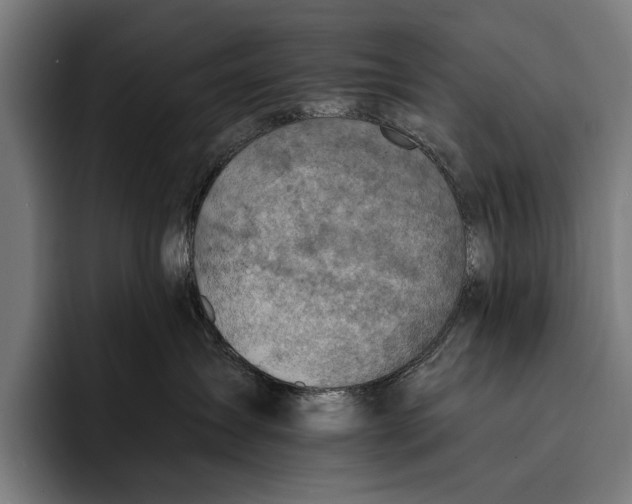 X0000092300431200710121450