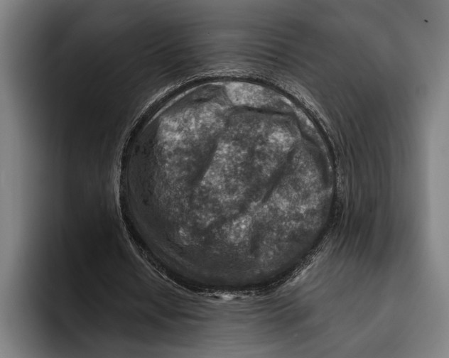 X0000092300434200710121450