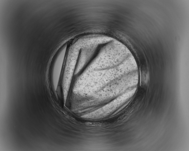 X0000092300435200710121450