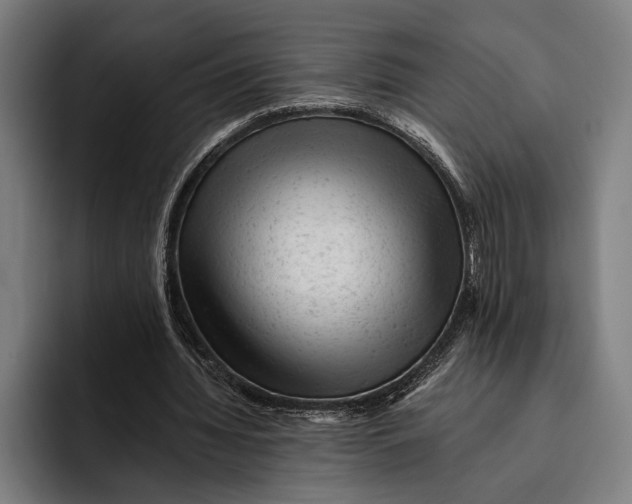 X0000092300436200710121450