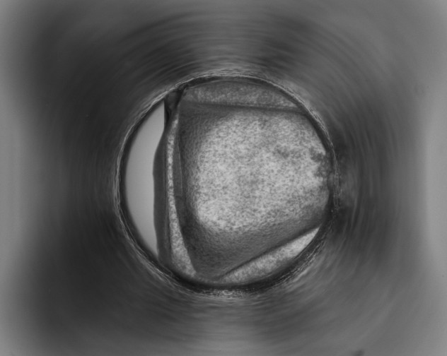 X0000092300437200710121450