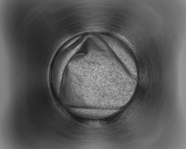 X0000092300439200710121450