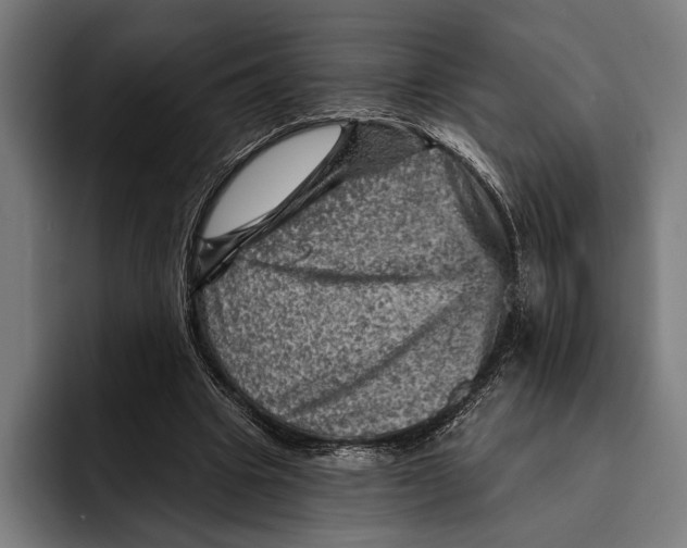 X0000092300441200710121450