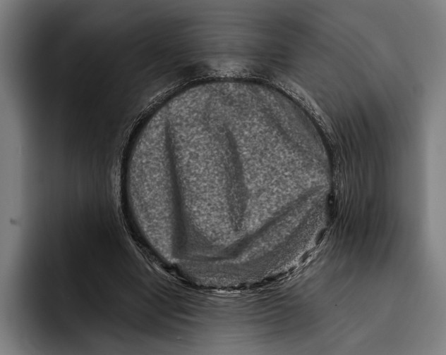 X0000092300442200710121450