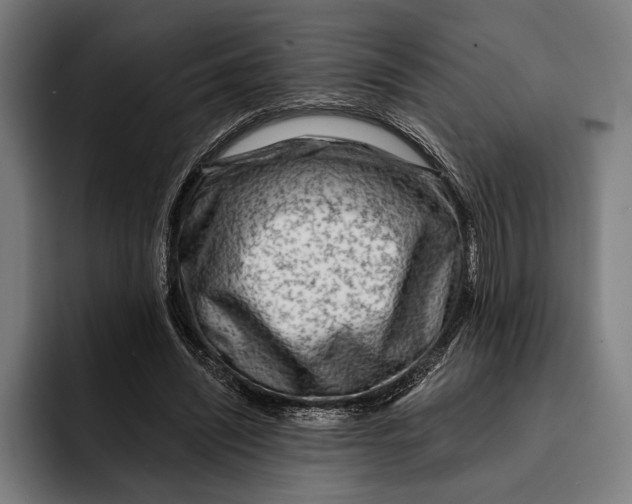 X0000092300444200710121450