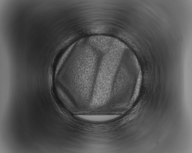 X0000092300446200710121450