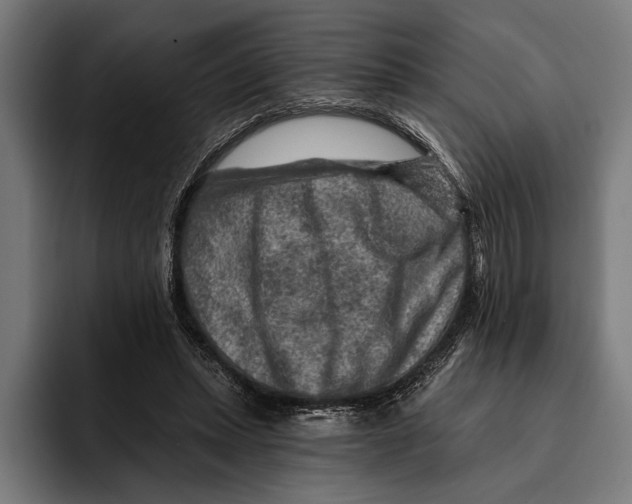 X0000092300447200710121450