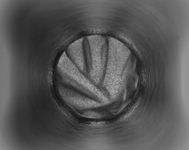 X0000092300450200710121450